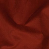 Rouge Polyester Velvet