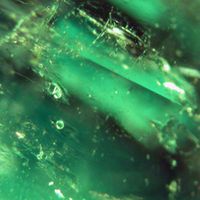 Emerald Inclusions:online gemological expertise.