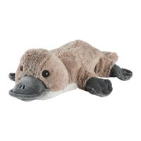 The Warmies Junior Platypus will keep you warm this winter.  The Junior Soft Toys offer all the benefits of our large plush toys, with the added advantage of being the perfect size of 9” for a small gift, or even a stocking filler when the festive period comes around.  Warmies are not just for winter, you can use them all year round, on those hot summer days and nights use your Warmies to cool down. Simply place the entire product within a grip seal freezer bag and place in the freezer for 2–3 hours. The Warmies cold temperature can be used to cool your bed making it easier to get to sleep, it can also help to reduce inflammation and pain.   Additional Information:   Measures 9” (22 cm)  Soothes, Warms and Comforts.  Scented with French Lavender.  Chill in a Freezer for Cooling Relief.  Su