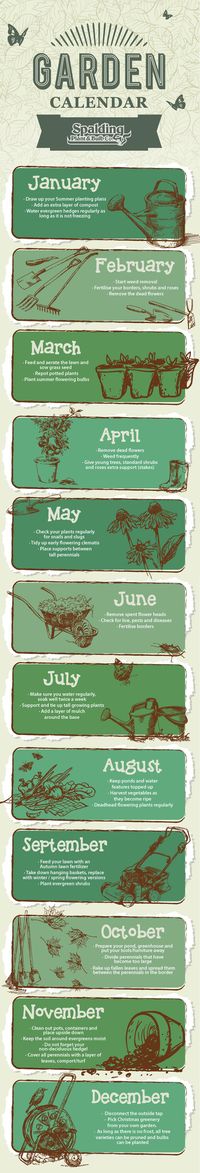 There's always something that needs to be done in a garden: Here's a month-by-month guide to what you should be doing.