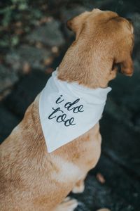 I do too wedding bandana dog of honor engagement bandana | Etsy