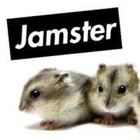 Jamster! was a mobile content provider known for its popular ringtone services in the early 2000s. It offered a wide range of ringtones, wallpapers, and games primarily through a subscription model where users paid a recurring fee for access to their content. Jamster! gained attention with its catchy advertising campaigns featuring characters like the Crazy Frog. However, it also faced criticism for aggressive marketing tactics that sometimes misled consumers into unintentional subscriptions. Over time, Jamster! evolved and rebranded as Jamba, expanding its offerings beyond ringtones to include mobile entertainment and apps before eventually being acquired by a different company.