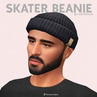 Grab this male Skater Beanie for any of your Sims, coming in multiple swatches and totally Maxis Match