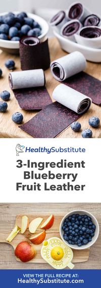 Ridiculously Good 3-Ingredient Blueberry Fruit Leather - Healthy Substitute