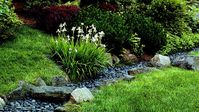 These landscape drainage solutions prevent puddling and flooding and look good too.