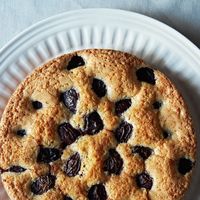 Purple Plum Torte From Marian Burros recipe on Food52