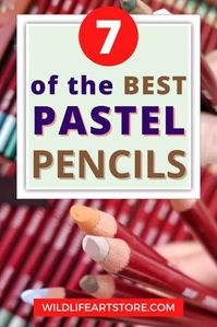 Best Pastel Pencils For Beginners: 7 Top Brands Plus a Chart. Pastel pencils comparison chart and descriptions. Everything a beginner artist needs to know. #pastelpainting #paintingwithpastels #pastelpencils #bestpastels #howtopaint #howtodraw #coloreddrawings