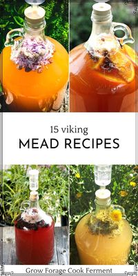 15 Viking Mead Recipes: Healthy Drinks Recipes - Are you looking for a way to make your own delicious, traditional Viking mead drinks at home? Look no further! We've rounded up fifteen delicious mead recipes, from classic honey mead to creative flavors like blackberry and dandelion. With these recipes, you'll learn the basics of mead-making and how to create and ferment your own unique drinks. So grab your raw honey, buckets and carboys, and let's get brewing!.