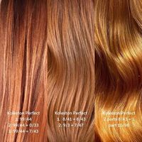 Wella Professionals Nordic on Instagram: "Who else is loving these gorgeouse auburn shades? 🍂🧡 All created by our Wella Educators @emelie.wella, @jaripekka.wella & @ebba.wella ✨ Don't forget to swipe to see te starting point of these yummy formulas and save for later. Are you more of a natural auburn kinda person, or can you not get it intense enough? 🧡 #wellanordic @wellahair #AskForWella #MakeChange #copperhair #mutedcopperhair"