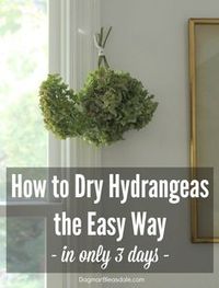 This is the easiest way to dry hydrangeas! They look so pretty all over out Blue Cottage. DagmarBleasdale.com #DIY #garden