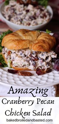 This cool and creamy chicken salad can be dressed up and served fancy or served on plain white bread. It is slightly sweet and savory all at once and has a nice crunch from the sweet pecans . The tart cranberries also  is a nice contrast and add alot to the overall flavor. #chickensalad, #cranberrypecanchickensalad, #cranberryschickensalad, #fingerfood, #salad, #showerfood