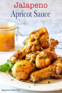 Jalapeno Apricot Sauce