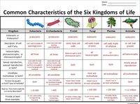 The Six Kingdoms of Life - Graphic Organizer {Editable}