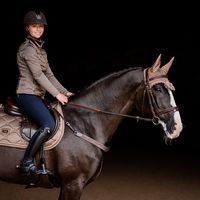 fly veil equestrian stockholm champagne