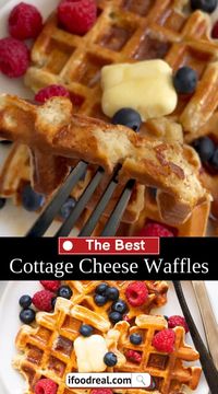 Cottage Cheese Waffles made without protein powder or flour deliver 14 grams of protein per 2 waffles. They’re fluffy, delicious, and freezer friendly!