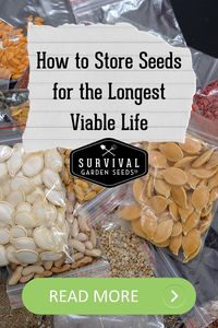 We've taught you how to harvest your heirloom seeds, now you need to know how to store them properly so they will remain viable. Check out our latest blog post to learn how!