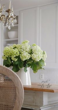 hydrangeas, fresh, kitchen, Alum