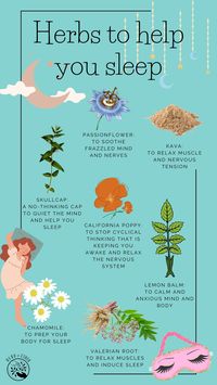 Looking for herbs that will help you finally achieve sleep? Not all herbs work the same! Think about what exactly is keeping you awake at night, and then choose the herb that will help address that reason! Here are some common sleep herbs to get you started!