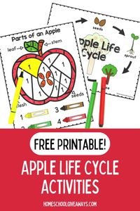 Grab these free printables all about apples! Perfect for fall, learn all about the apple life cycle and parts of an apple. Preschool and elementary aged science and hands on activities.