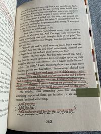 priest - sierra simone | book annotations