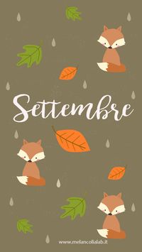 sfondo gratis per smartphone free wallpaper for your smartphone  #volpe #fox #autumn #autunno #wallpaper #sfondo #smartphone #freedownload #free