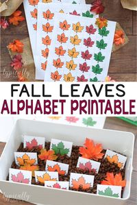 Have fun learning with these fall leaves alphabet printables! There are so many hands-on activities that can be done with these printables to build early literacy skills.