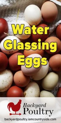 Water Glassing Eggs for Long-Term Storage - Backyard Poultry