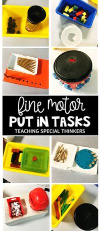 Fine Motor Put-in Tasks