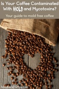 Does your coffee have mold in it? What about mycotoxins? Learn more about why coffee is a slipperly slope when it comes to mold as well as the best mold and mycotoxin free coffee brands in 2020. #coffee #moldfreecoffee #mycotoxins #mold #toxicmold #mycotoxinfreecoffee From MoldHelpForYou.com