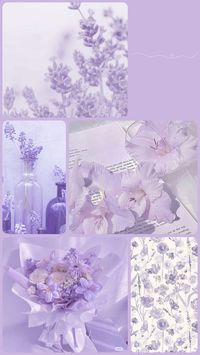 #background #collage #aesthetic #iphone #purple #lightpurple #flowers #heart #pinterest #mypinterest #pinterestinspired #pinterestinspiration