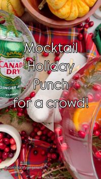 We're excited to share a festive holiday punch that everyone can enjoy—simple, non-alcoholic, and perfect for a crowd. With a few easy steps and Canada Dry ® Ginger Ale (a holiday staple), you'll have a holiday mocktail punch that brings all the comfort and joy.  #ad #ChillWithCanadaDry @canadadrygingerale   See the video for the recipe!