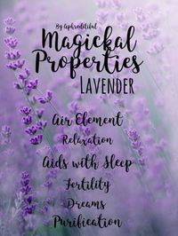 Magickal Properties of Lavender