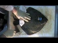 Clean a Turbot HD - YouTube