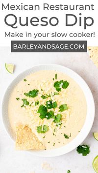 This crockpot white queso dip is smooth, creamy and super easy to make! It's the perfect appetizer for game day, or just any weeknight that you're craving nachos!