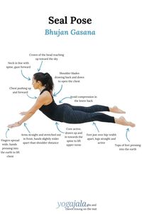 How to do Seal Pose (Bhujangasana)