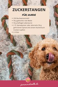 Bist du auf der Suche nach einem tollen Weihnachtsgeschenk für Hunde? Wir haben ein Zuckerstangenrezept, mit dem du im Handumdrehen tolles für deinen Hund backen kannst. Schau vorbei!