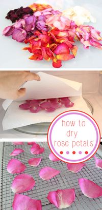 This is the best way to preserve the beauty and fragrance of a beautiful bouquet of fresh roses. Drying them make them great embellishments for cards, confetti for weddings and bridal showers, and potpourri. http://www.ehow.com/how_2293715_dry-rose-petals.html?utm_source=pinterest.com&utm_medium=referral&utm_content=inline&utm_campaign=fanpage