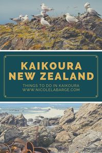 Want to know what to do in Kaikoura?  I’ve put together this list of the best things to do in Kaikoura New Zealand