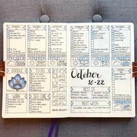 Using a bullet journal can be one of the most productive and organized things you do this year as a successful principal.