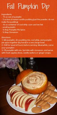 Fall Pumpkin Dip Recipe by Carolina Charm