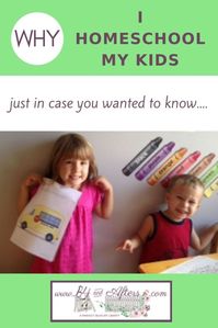 Why I Homeschool My Kids – B4 and Afters - 7 plus reasons why