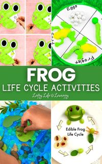 Learning about a frog's life and behavior through fun and exciting activities is perfect. Take a look at our list of Frog Life Cycle Activities that you can try with your kids and find out more about these amphibians.