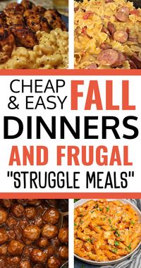 Meal planning on a budget? Try these 20 Cheap Easy Fall Dinners and Frugal Struggle Meals