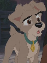 Scamp from Lady and the Tramp sequel