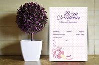 Printable birth certificate designed for the baby girl