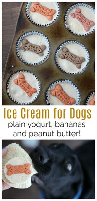 Ice cream for dogs! Bananas, peanut butter, and plain yogurt combine to create these delicious treats for any puppy friend! A tasty way to cool down on a hot day.