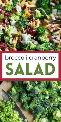 This quick and easy Broccoli Salad with Cranberries and Bacon is a Spring and Summer staple for parties, gatherings, barbecues, and picnics galore! It always gets rave reviews and vanishes FAST! So so good!