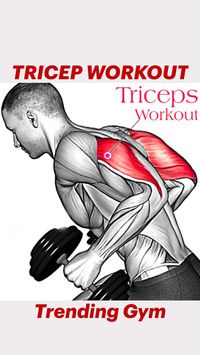 Best Triceps Workout Routine You Should Be Doing 🔥