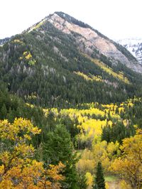 American Fork Canyon, Utah- photo by Cymoni Larsen :)  (One of my favorite places in the world! Check!)