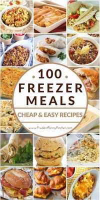 100 Cheap & Easy Freezer Meals